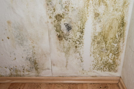 What You Need To Know About Water Damage